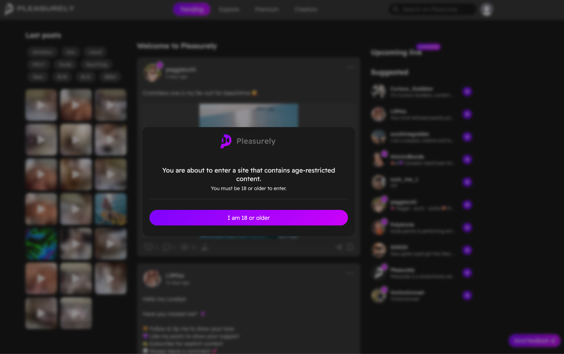 Pleasure Coin - $NSFW